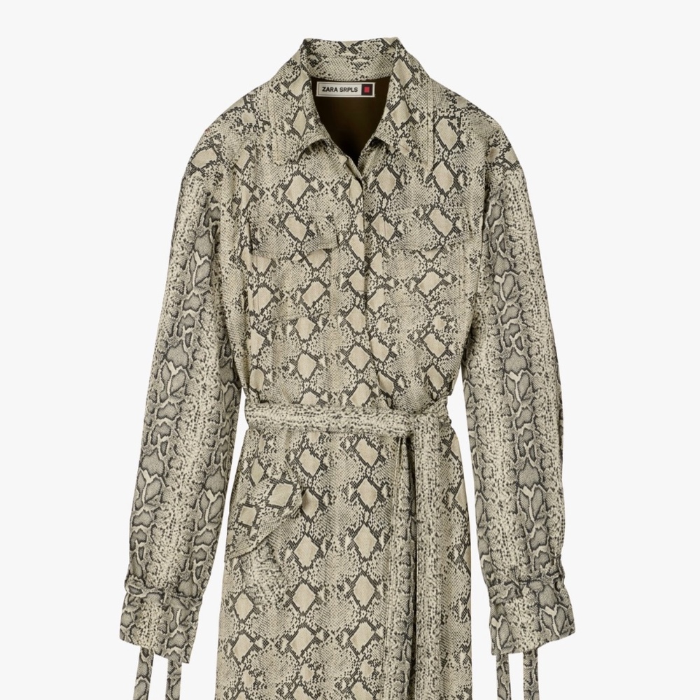 ZARA SRPLS Snake Print Dress